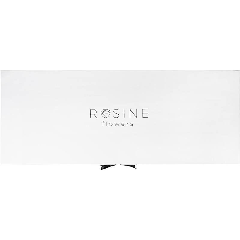 Shakhzoda - Görsel 3